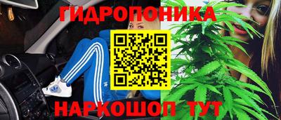 тгк Тулун