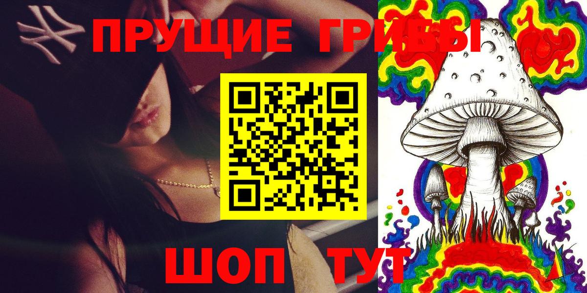 Галлюциногенные грибы Psilocybe Прокопьевск