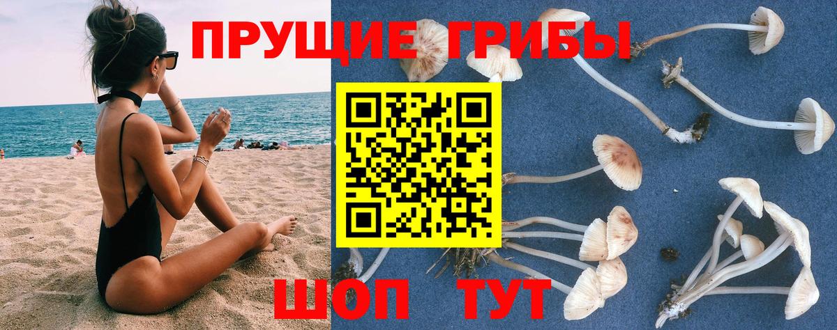 Прокопьевск  Псилоцибиновые грибы MAGIC MUSHROOMS  хочу наркоту  Вход с VPN 